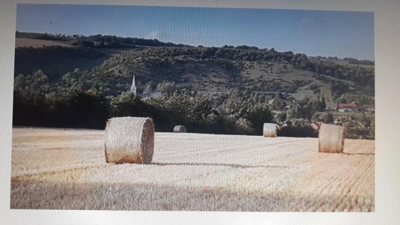 Studio Du Gite Wavrans-sur-l'Aa Dış mekan fotoğraf