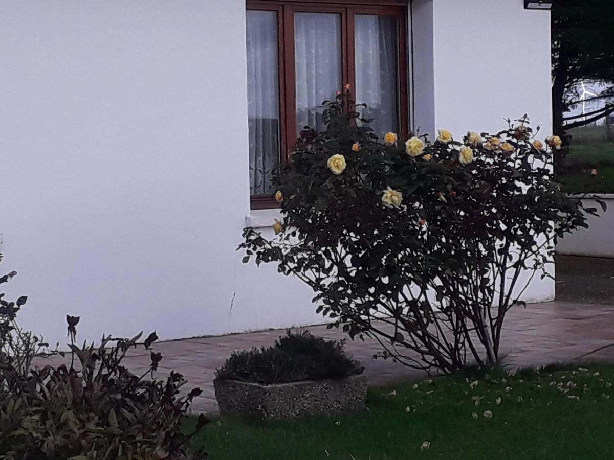 Studio Du Gite Wavrans-sur-l'Aa Dış mekan fotoğraf